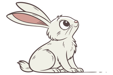 white rabbit on a white background