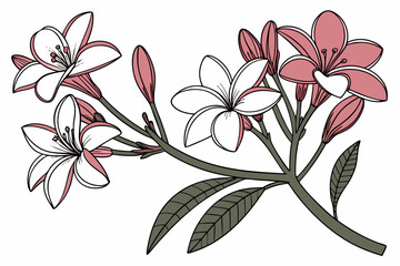 vector illustration of a floral background