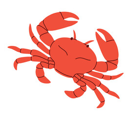 Red sea crab. Vector illustration isolated on white background.