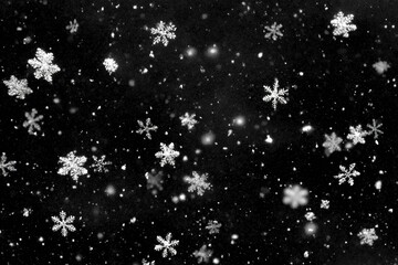 Snowflakes gently falling in a dark winter night creating a serene and magical atmosphere