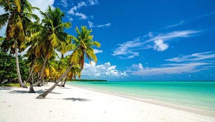 Obraz premium Tropical beach paradise (9)