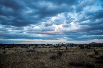 sunrise at the Savannah of the Samburu national park in Kenya with cloud sky