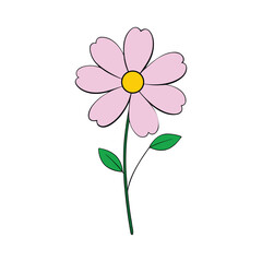 Naklejka premium Cosmos Flowers White Background Vector
