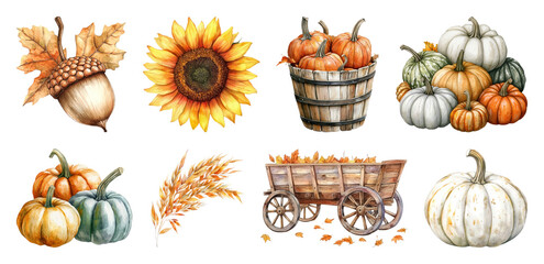 PNG Autumn harvest watercolor illustrations, element set on transparent background