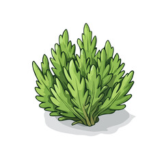 Fennel, 2D isometric flat cartoon vector illustration isolated on white background.