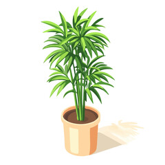 Tall Plant Pot, flat 2D isometric cartoon vector image isolated on white background.
