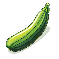 Zucchini, 2D isometric flat cartoon vector illustration isolated on white background.