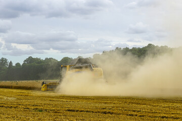 Combine harvester working on wheat field with heavy dust cloud during summer grain harvest