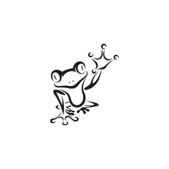   jumping frog with a bottom view