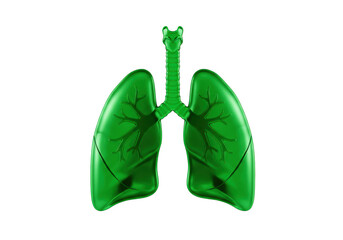 Isolated Green Lungs with Trachea Respiratory System Anatomy Pulmonary Wellness Health Care
