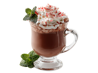 Peppermint Schnapps Hot Chocolate