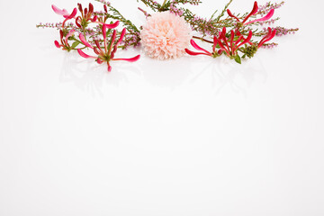 Autumn floral wedding frame with pink bloom, burgundy flowers and heather on white background, free...
