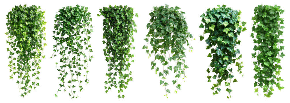 Lush cascading green foliage