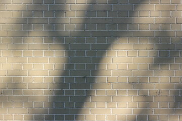 The shadows of the leaves on the trees falling on the typical beige brick wall.