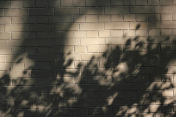 The shadows of the leaves on the trees falling on the typical beige brick wall.