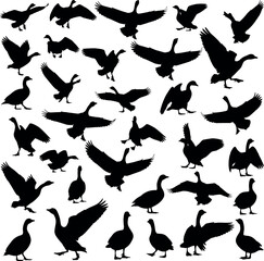 Set of Goose Silhouettes in Flight and Standing Poses – Wildlife Bird Vector Icons for Nature, Migration, and Animal Design Themes