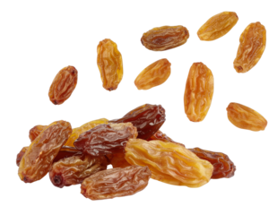 Falling raisin isolated on white background, full depth of field
