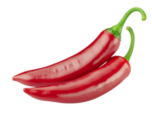 red hot Chili Peppers isolated on white background, full depth of field