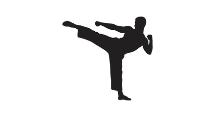a martial artist performing high kick silhouette
