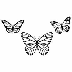 Obraz premium set of vector butterflies