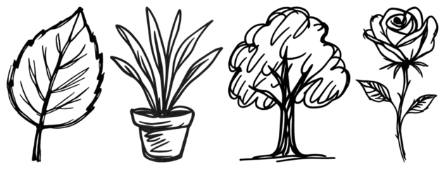 Hand-drawn botanical sketch collection