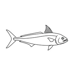 Sleek kingfish line art illustration