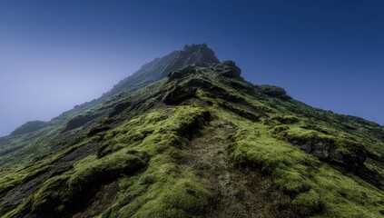 Fototapeta premium A rugged mountain peak, covered in moss, viewed from below