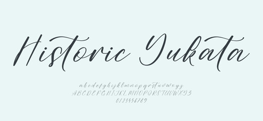 Signature Font Uppercase Lowercase And Number. Script Font Calligraphy Logotype elegant Font Type Font lettering handwritten. vector illustration  
