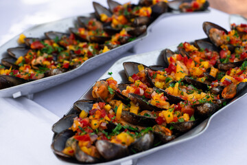 Mussels served with fresh vegetable sauce, beautifully arranged