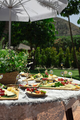 Cheese and fruit platters arranged on a lace-covered table under a white umbrella at an outdoor garden party, catering