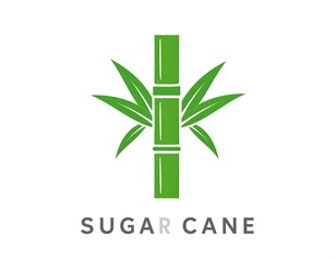 Naklejka premium Green sugar cane stalk with leaves