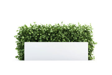 White rectangular sign against green bush isolated on transparent background. Blank white screen sign board placed outside next to green tree fence isolated on white background.