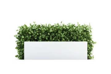 White rectangular sign against green bush isolated on transparent background. Blank white screen sign board placed outside next to green tree fence isolated on white background.