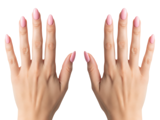 Two woman hands with extended fingers, smooth skin, polished nails, symmetry, balance, natural elegance, minimal beauty. display mockup for jewelry and watches. Transparanet background