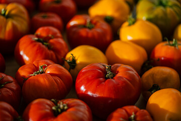 Vibrant red and yellow tomatoes forming a visually striking pattern, highlighting the variety and...