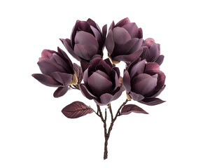 a bunch of purple magnolia flowers isolated on white