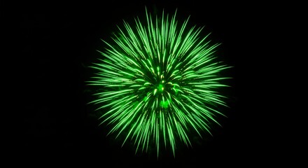 Green burst illustration against black background for design and visuals