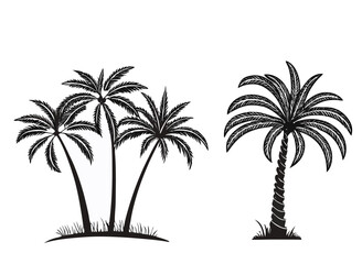 Fototapeta premium Black silhouette palm trees on white background tropical