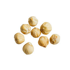 An Assortment of Seed Varieties Displayed on a Transparent Background for Educational Purposes and Visual Appeal, Perfect for Nature Enthusiasts and Botanists