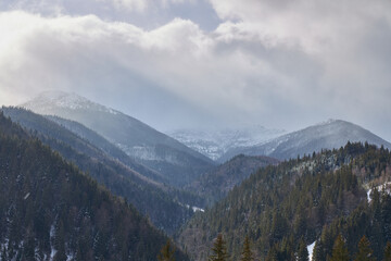 Obraz premium Dramatic winter landscape with a snow shower and sunbeams.