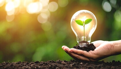 A person's hand holding a glowing light bulb with a green sprout growing inside, a powerful metaphor for green energy, environmental sustainability, innovation, and eco-friendly solutions