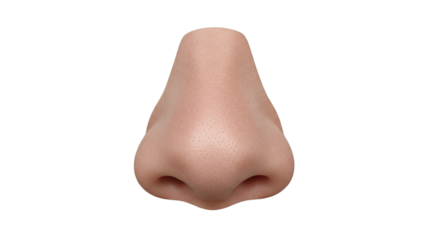 male nose isolated, transparent background