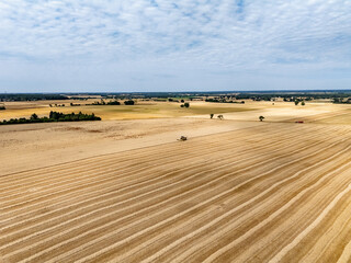 Obraz premium Vue aérienne d'une parcelle de blé après récolte. La photo montre les lignes des rangs de blé récoltés et la paille rassemblée en andains. Une moissonneuse-batteuse, au centre de la photo.