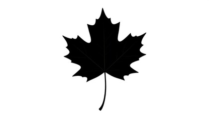 A simple, black silhouette of a maple leaf against a stark white background.