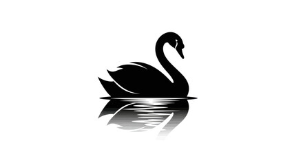 Elegant black swan gracefully swimming on calm water with reflection.