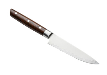 Isolated small knife with shiny metal blade and brown handle kitchen utensil for chef