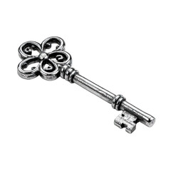 Ornate antique-style key