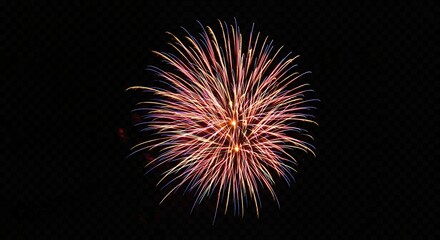 Fototapeta premium Fireworks display against a dark night sky festive celebration design element
