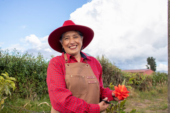 Cheerful female farmer gathering flower in sunlit farmland, wearing bright red hat and apron, representing agricultural passion and rural lifestyle