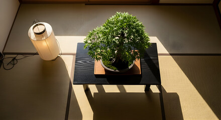 Japanese Bonsai Displayed On Black Table Near Illuminated Paper Lantern With Light